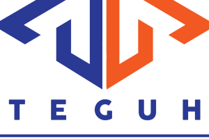 AA TEGUH SDN BHD (BT)