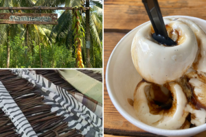 Amani Vanilla Temerloh