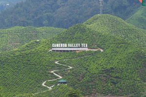 Cameron Valley Tea House 2