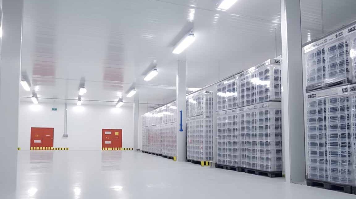 cold storage