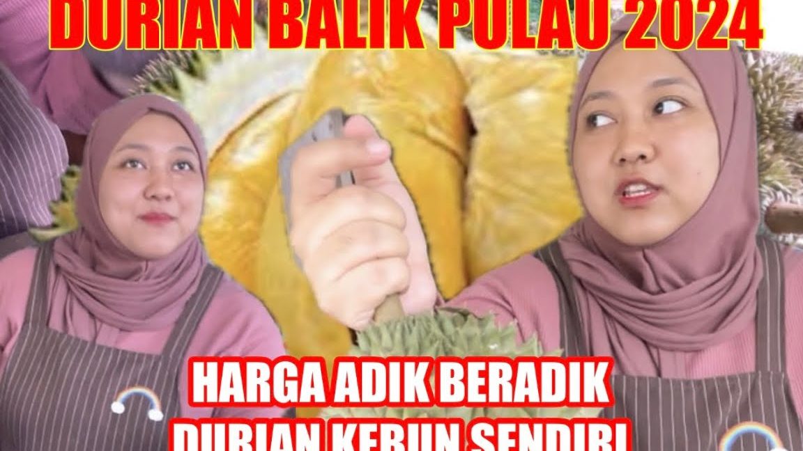 durian abang adik balik pulau