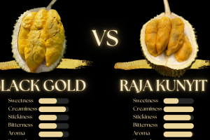 Durian Kunyit King