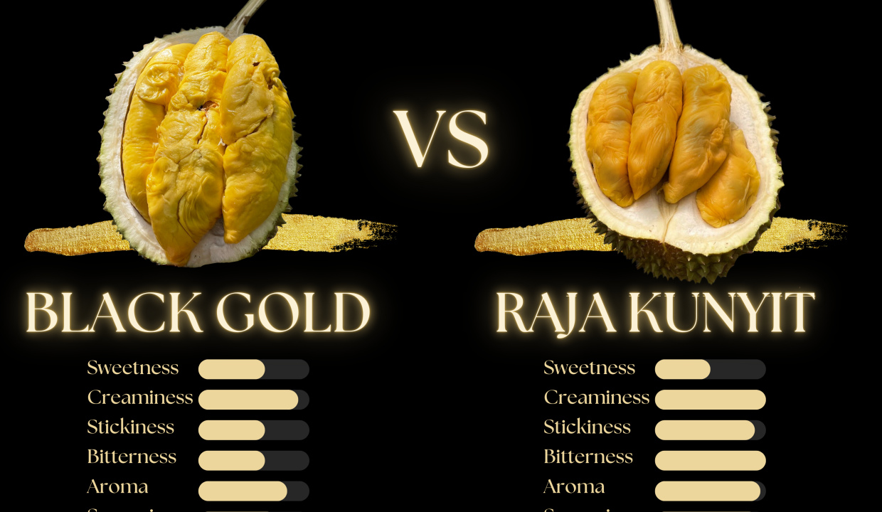durian kunyit king