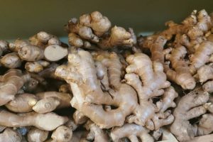 马草鸡，马草蛋，文东姜 fresh kampung chicken&egg, bentong ginger