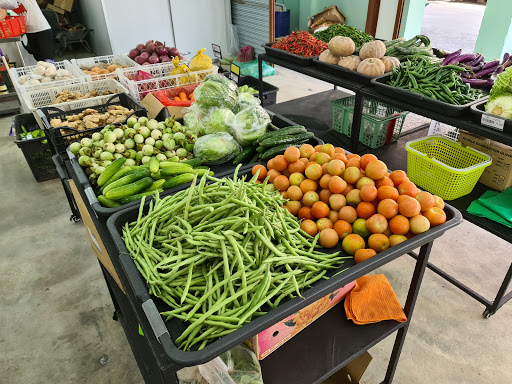 GT Vegetable Wholesale (Higo Mart) GT Vegetable Wholesale (Higo Mart)