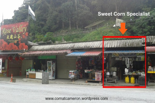 Sweet Corn Specialist At Cameron Highlands