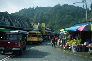 Farm Fresh Mart Cameron Highlands