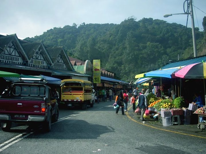 farm fresh mart cameron highlands