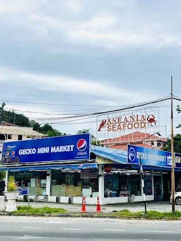 gecko mini market