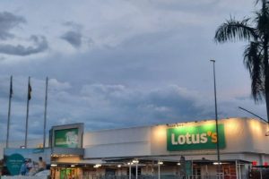 GINTELL – Lotus’s Kampar