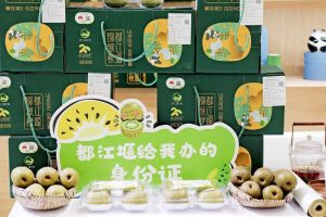 Green N’ Fresh 绿色物语
