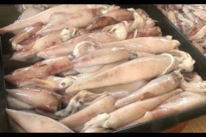 Ikan Segar Pok Din