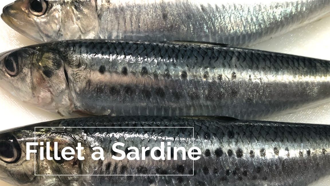 keropok marzuki made from fresh sardine fillet