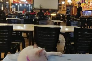 KK Super Mart Cyberjaya, Biz Avenue 2 (CBA)