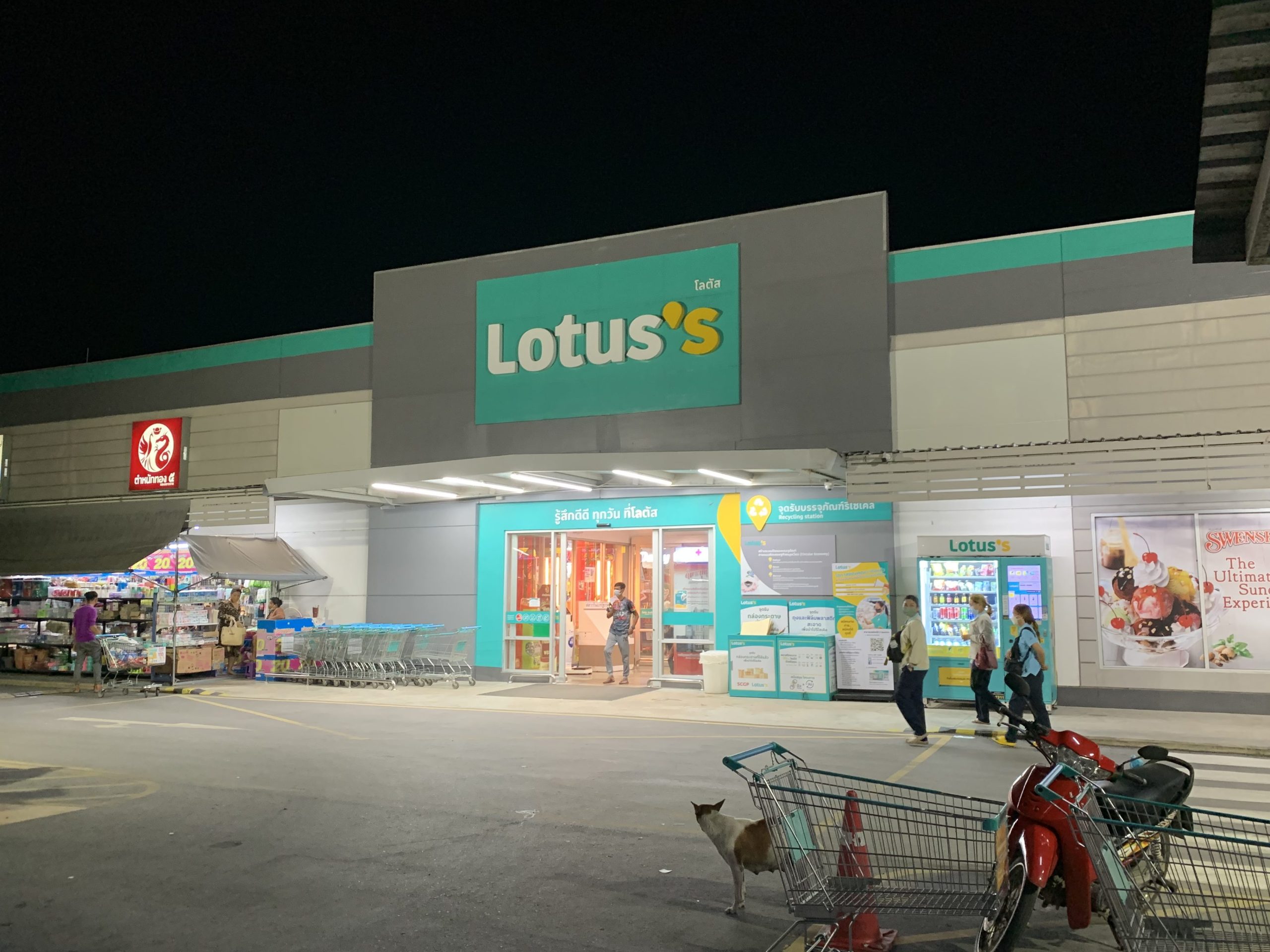 Lotus's 1 lotuss scaled