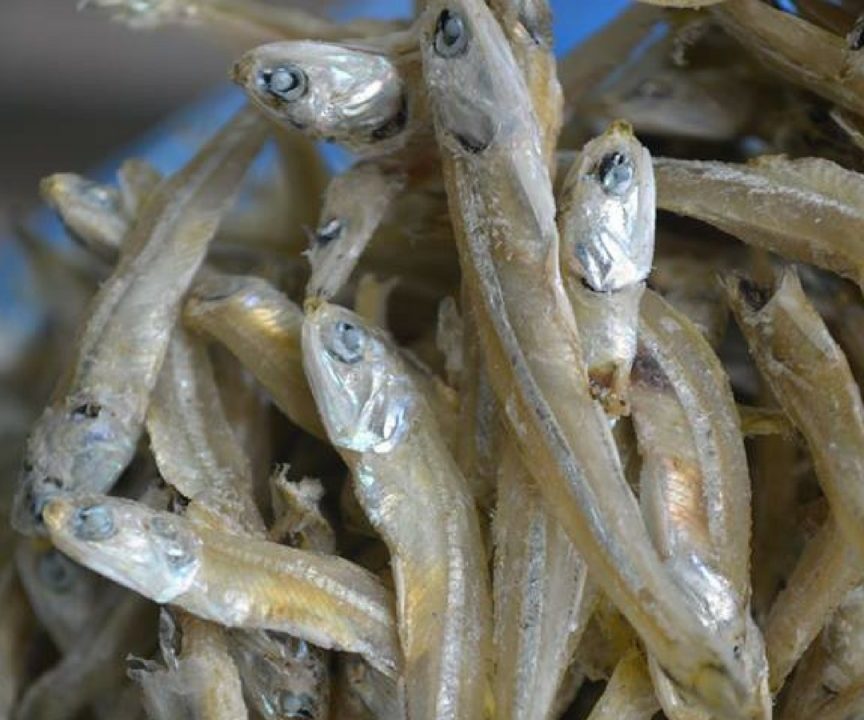 Mayu (Pusuk) Ikan Bilis 1 mayu pusuk ikan bilis
