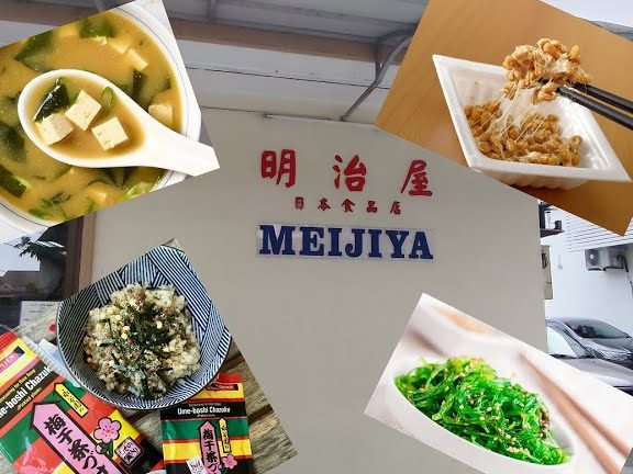 meijiya enterprise