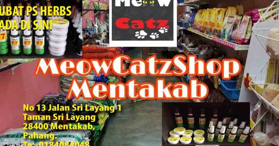 Meow Catz Shop 1 meow catz shop