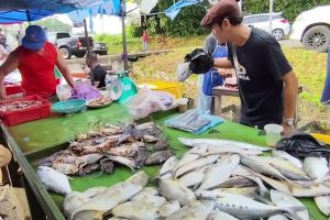 Nam Tung pasar