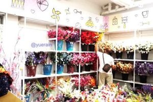 Ninso Taman Tasik Kluang