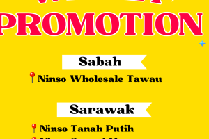 Ninso Wholesale Matang Jaya