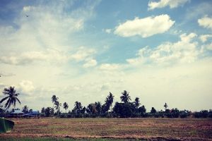 Parit kasa