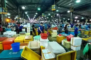 Pasar Borong MS