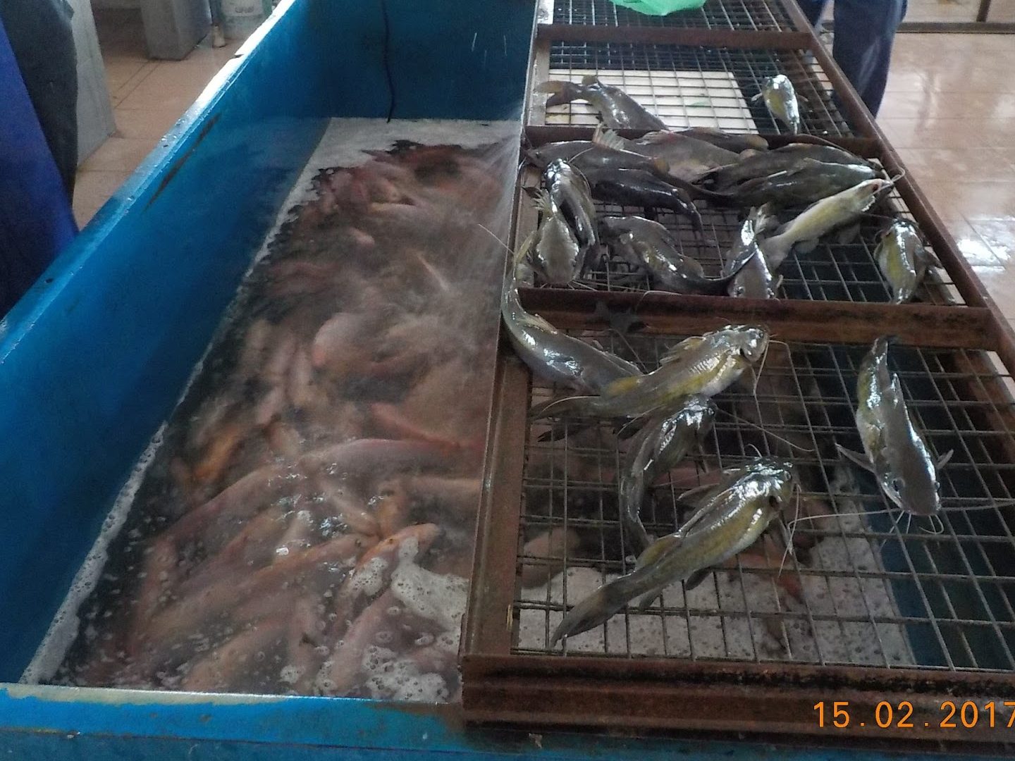 pasar ikan kuala berang