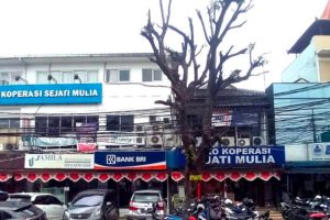 Pasar Segar Mulia Sejati