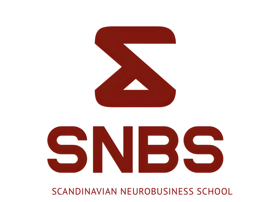s n b s enterprise