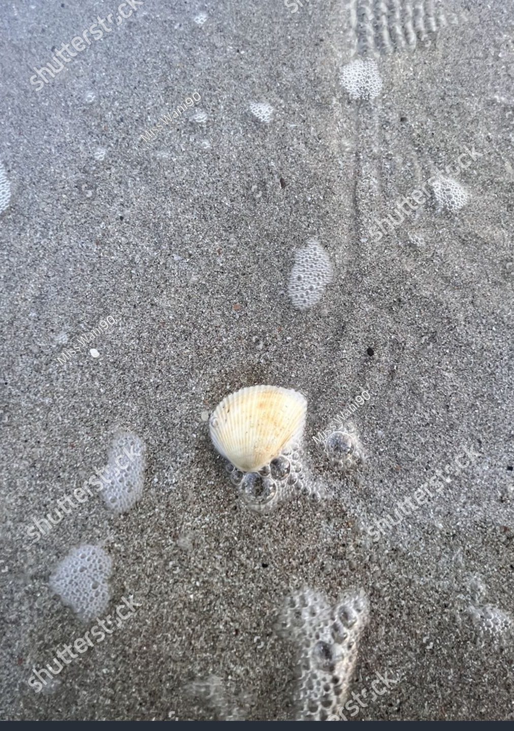 shell kota tinggi