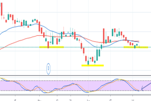 Wina Trading