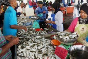 Zamidi Family Pemborong Ikan Kuala Kedah