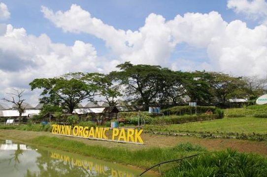 zenxin organic food bukit indah johor bahru