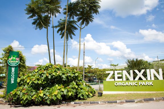 zenxin organic food kluang town